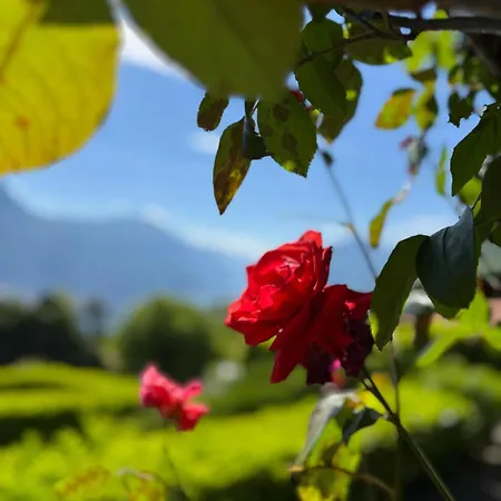 Bellagio, Grigna & Διαμέρισμα Civenna