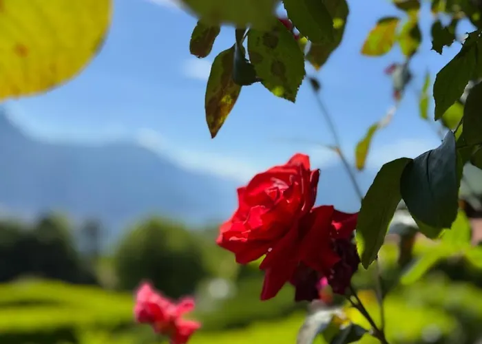 Bellagio, Grigna & 公寓 奇文纳
